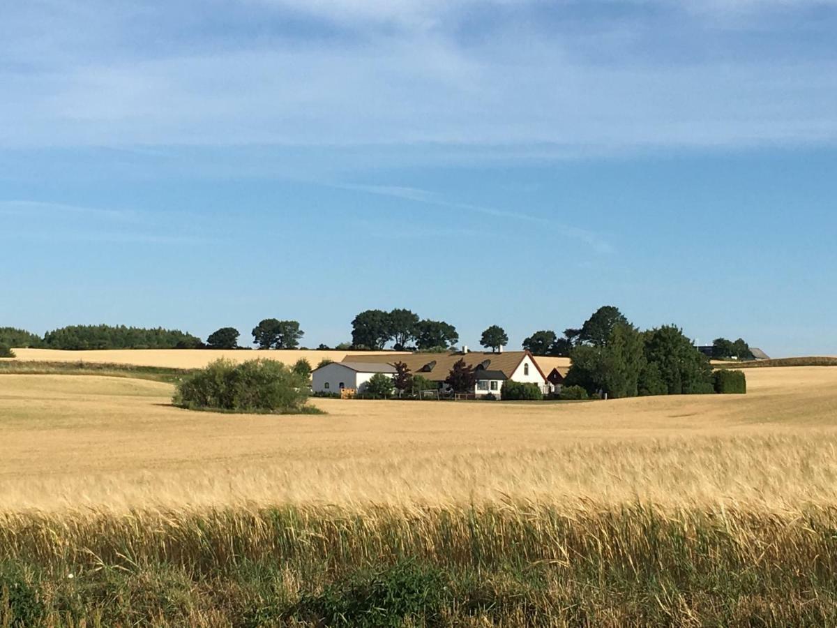 Stallet Pa Skarby Ystad Buitenkant foto