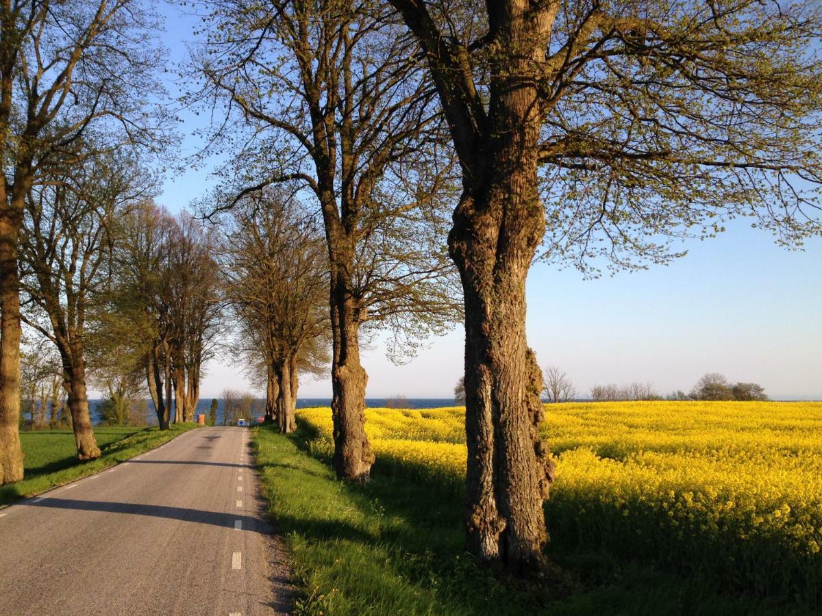 Stallet Pa Skarby Ystad Buitenkant foto
